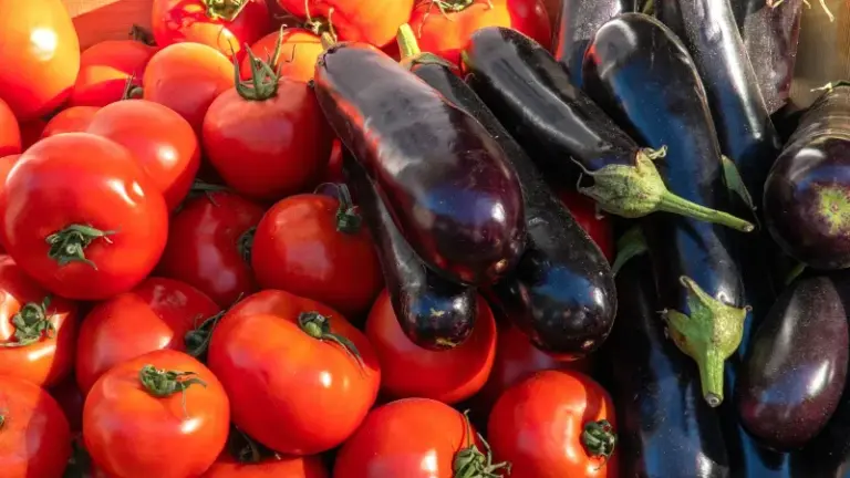 Never Plant These Near Your Tomatoes or You’ll Watch the Harvest Quietly Shrink