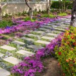 7 Native North Carolina Ground Covers That Choke Out Weeds Between Your Flagstone Better Than Bare Mulch