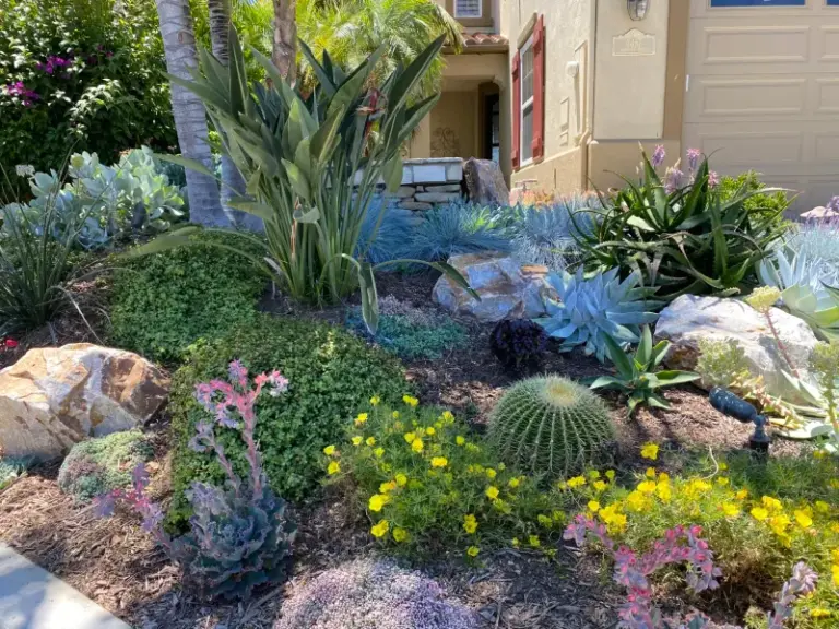 The Texas Patio Plants That Shrug Off the Heat Right Next to Your Grill and Fire Pit