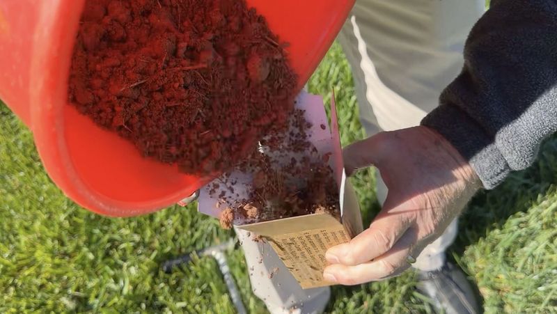 The One Fall Chore North Carolina Gardeners Skip in October That Costs Them Next Spring’s Growth