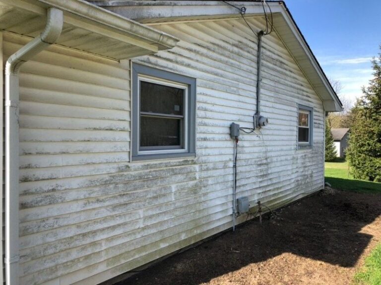 Your House Siding Looks Older Than It Is When Algae Keeps Spreading
