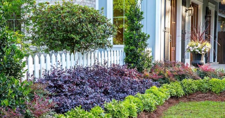 Love flowering shrubs but want something easier than hydrangeas? Start with these 9