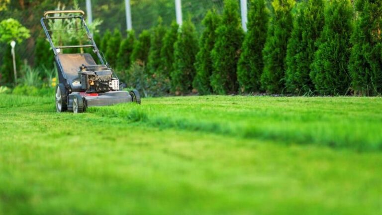 You’re Mowing Your Lawn at the Wrong Time of Day – Here’s the Dry Window That Helps Protect Lawn Health