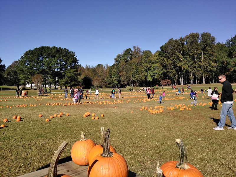 A Family Farm Off Tarboro Road in Youngsville