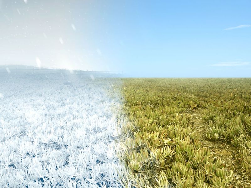 A Frost-Day Protection Plan A Frost-Day Protection Plan