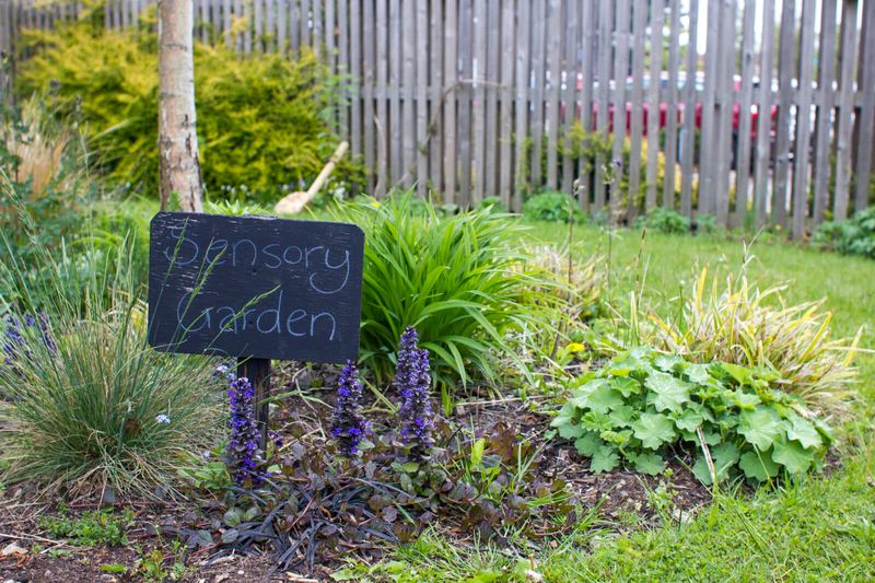 A Touch-and-Smell Sensory Garden