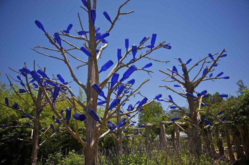 A bottle tree can mean more than one thing A bottle tree can mean more than one thing