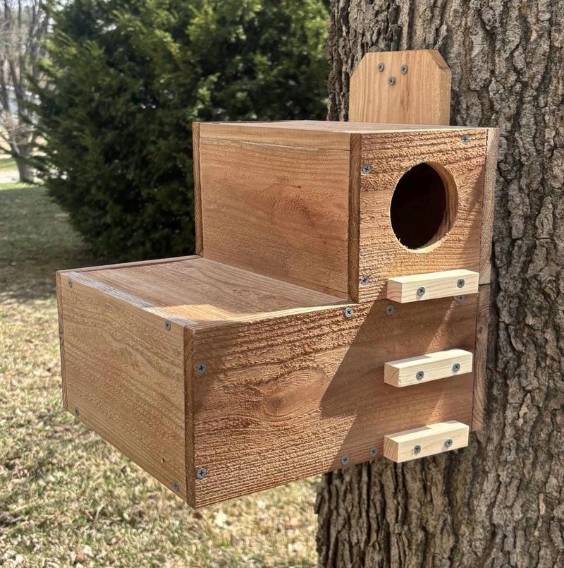 A box is optional, and a young owl usually needs space A box is optional, and a young owl usually needs space