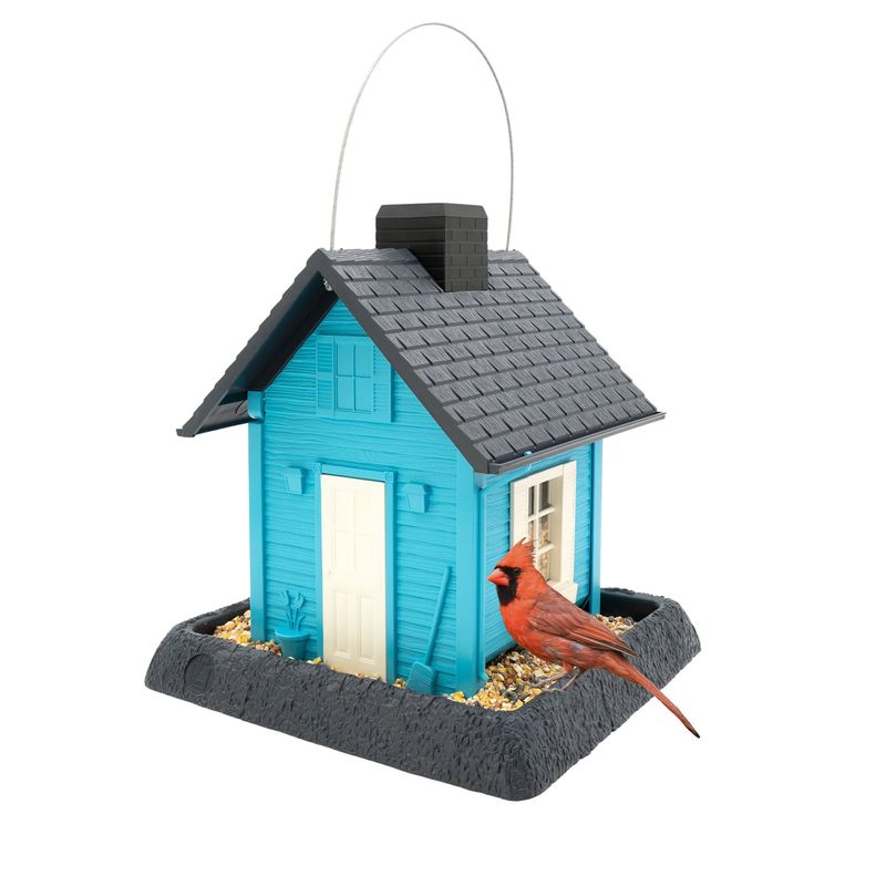 A clean feeder can complement the planting
