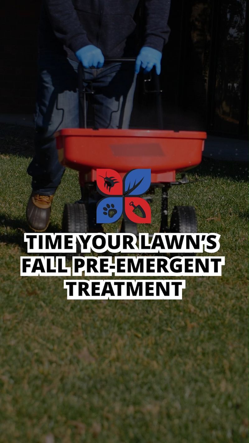 A correctly timed pre-emergent may help prevent new seedlings