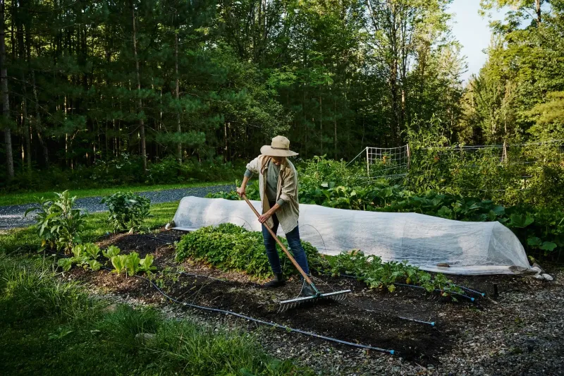 A fabric cover softens frost but cannot stop winter