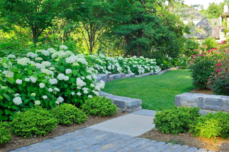 A planted bed can offer cover as well as food