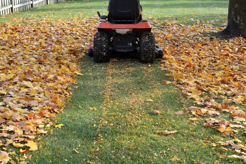 A regular mower may chop leaves with the right setup A regular mower may chop leaves with the right setup