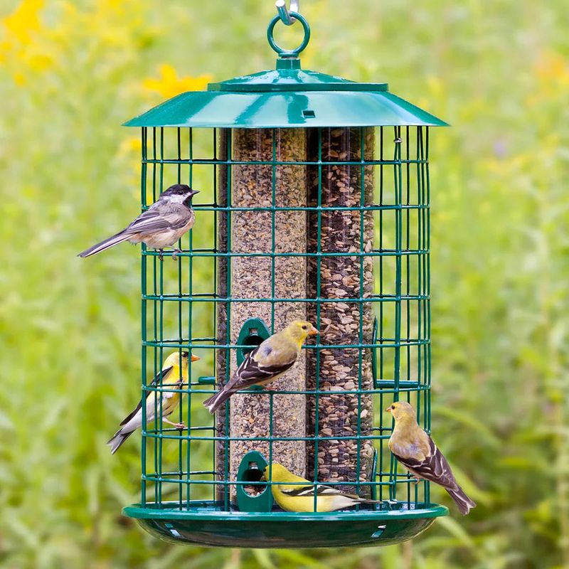 A safe feeder balances cover with visibility A safe feeder balances cover with visibility