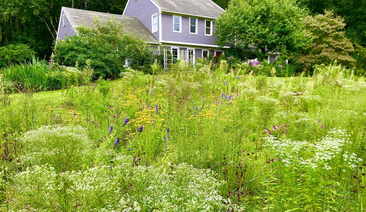 A seed-and-cover patch supports habitat