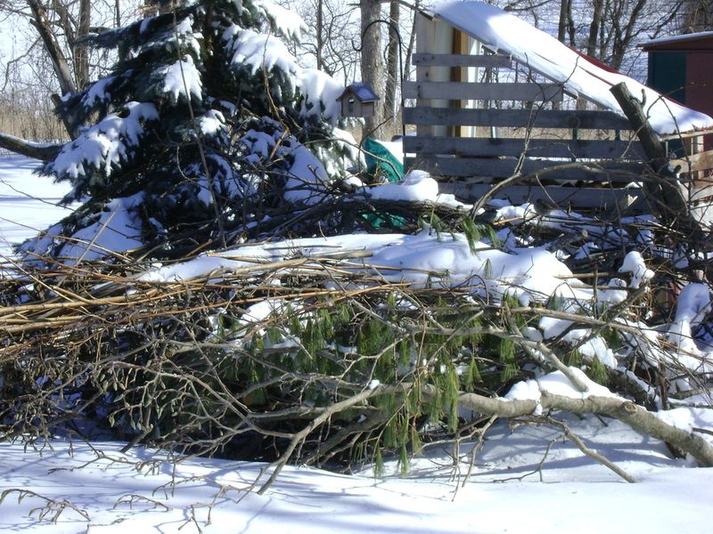 A small habitat upgrade has a modest, useful job
