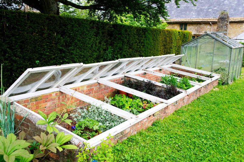 A sunny cold frame needs regular weather checks