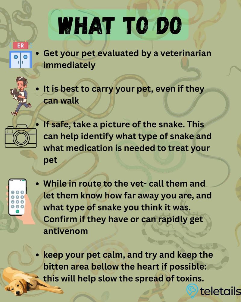 A suspected bite needs emergency care
