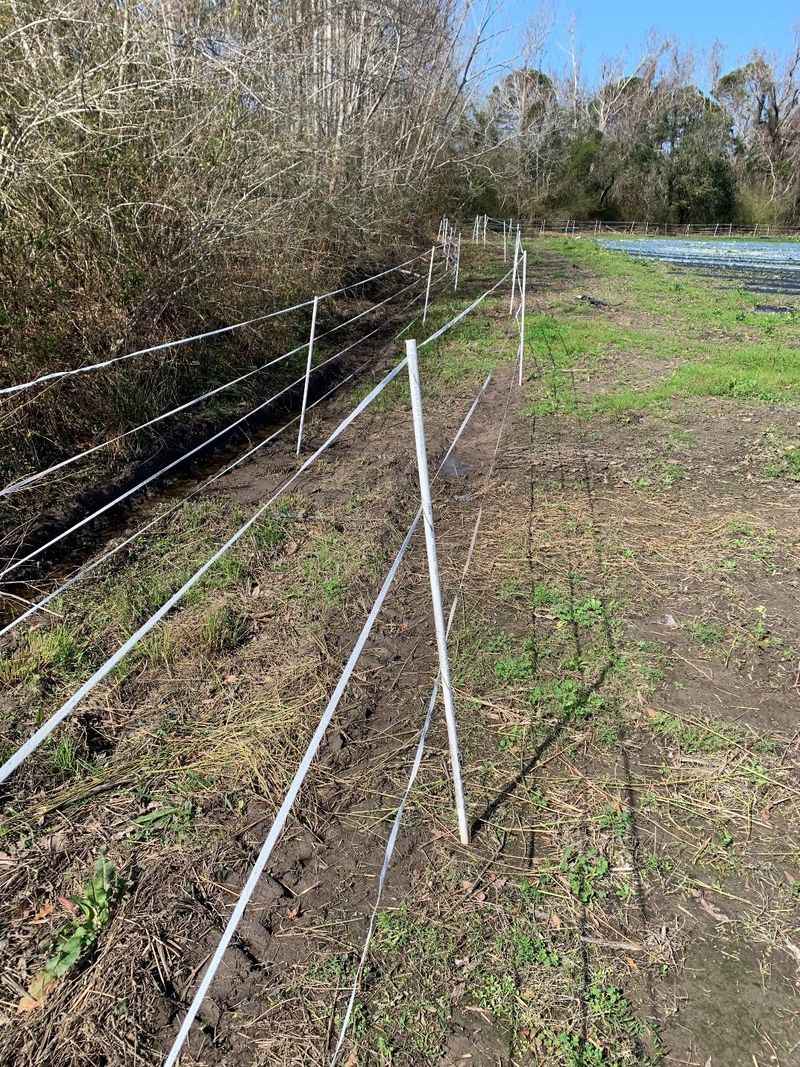 A two-tier fence may deter deer