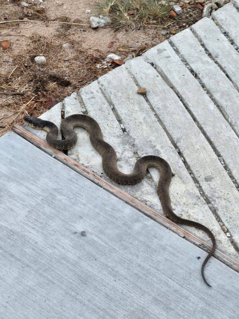 A warm deck is one possible stop, not a proven fall pattern