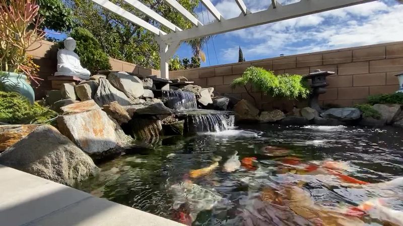 A water feature may matter most when it holds fish