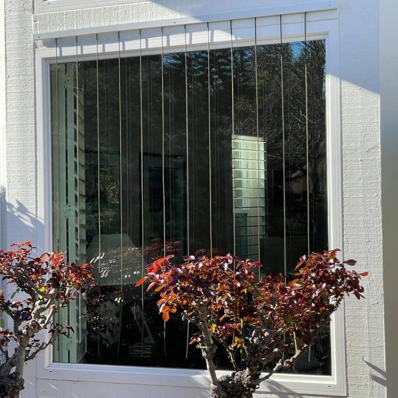 A window-side bird view needs collision protection