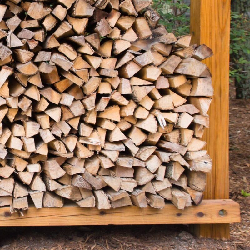 A woodpile offers nearby shelter, not a proven route indoors