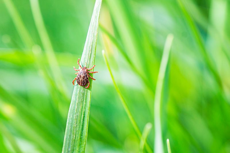 Adapt prevention to local conditions and seasons Adapt prevention to local conditions and seasons