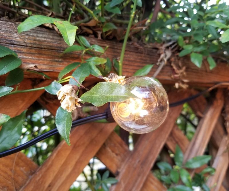 Add Gentle Warmth With Old-Style Lights