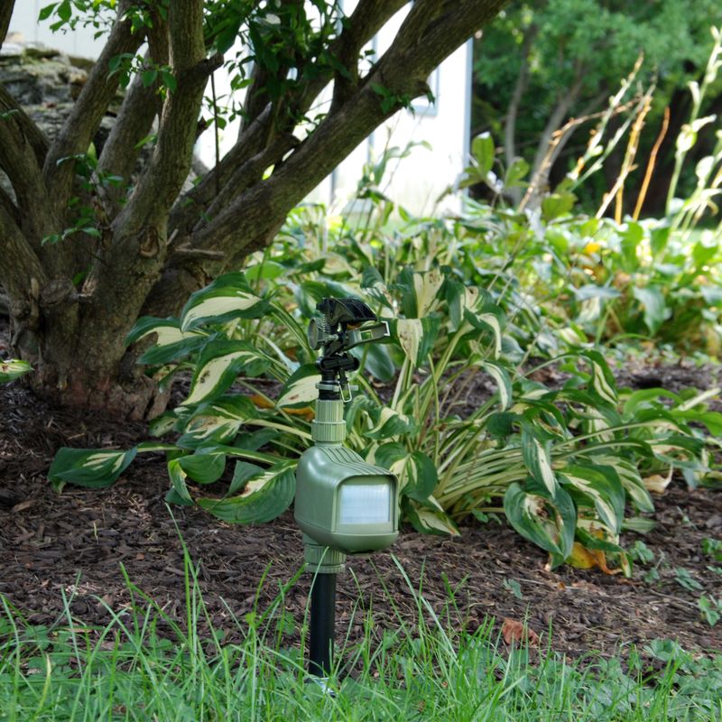 Add Motion-Activated Sprinklers or Lights