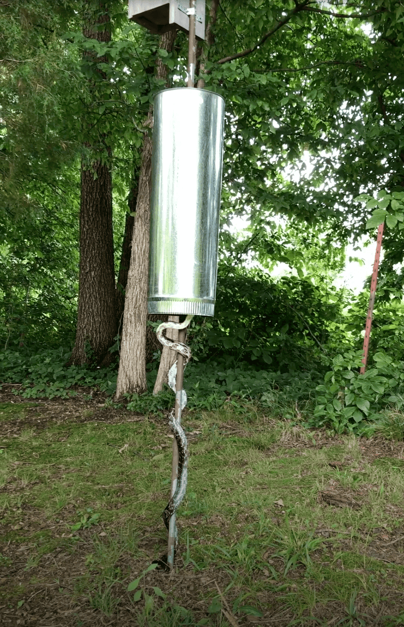 Add a Predator Guard to the Pole