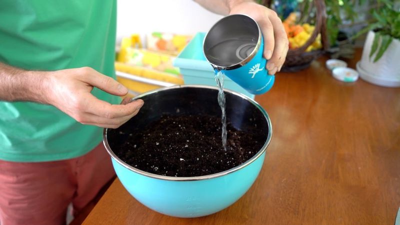 Adjust watering as indoor growth slows