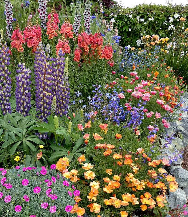 Annie's Annuals and Perennials, Richmond