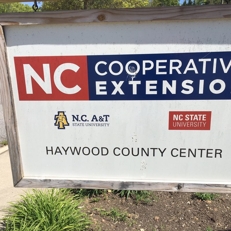 Ask Cooperative Extension when identification matters
