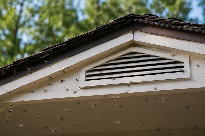 Attic and Soffit Vents Attic and Soffit Vents