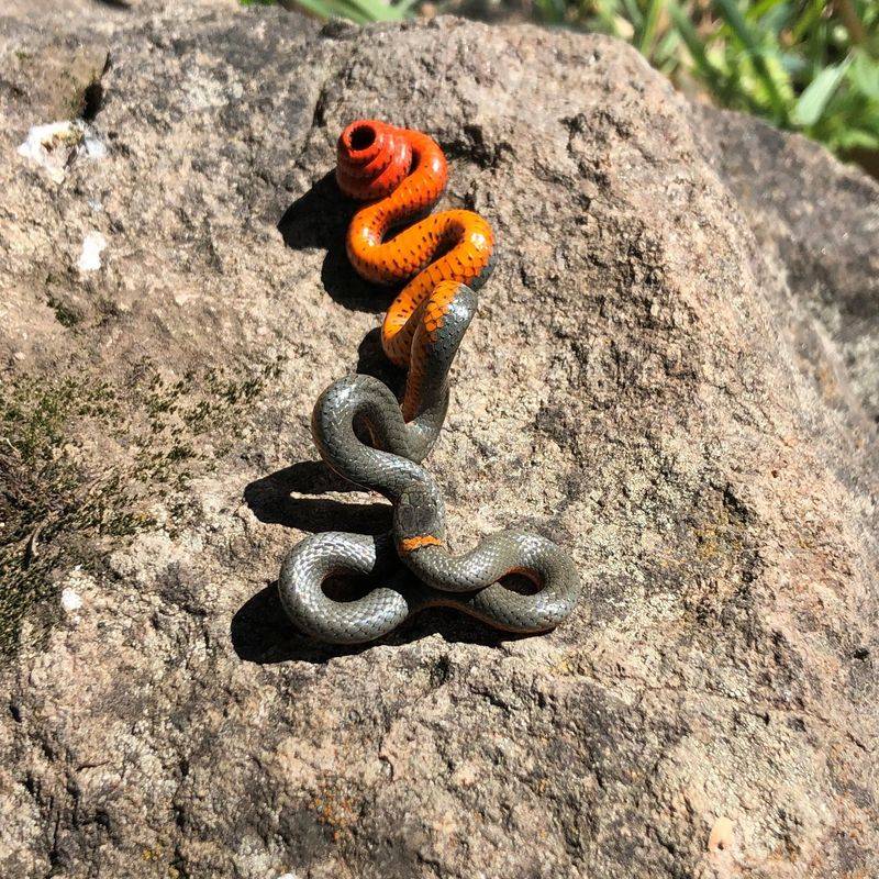 Avoid a bite without treating the snake as a reason to panic Avoid a bite without treating the snake as a reason to panic