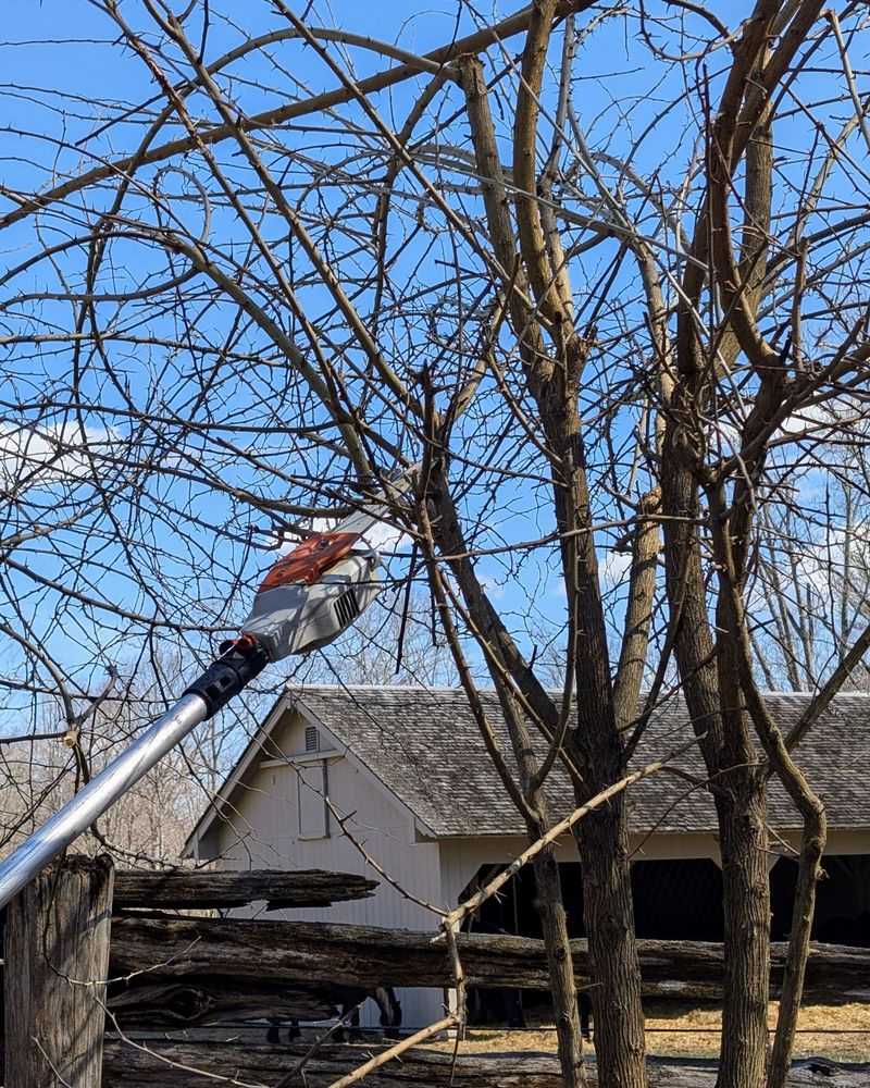 Avoid broad or late pruning that may cost the next crop