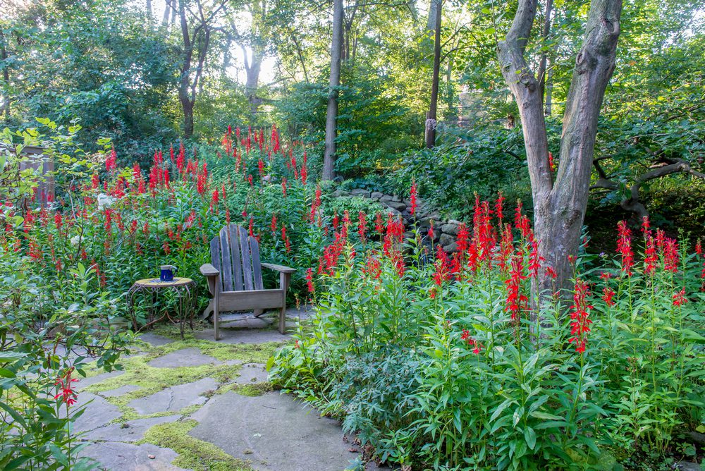 Balance a wildlife-friendly yard with the changes you want