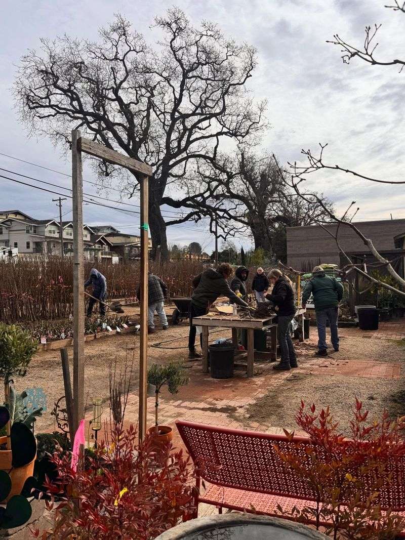 Bay Laurel Nursery, Atascadero