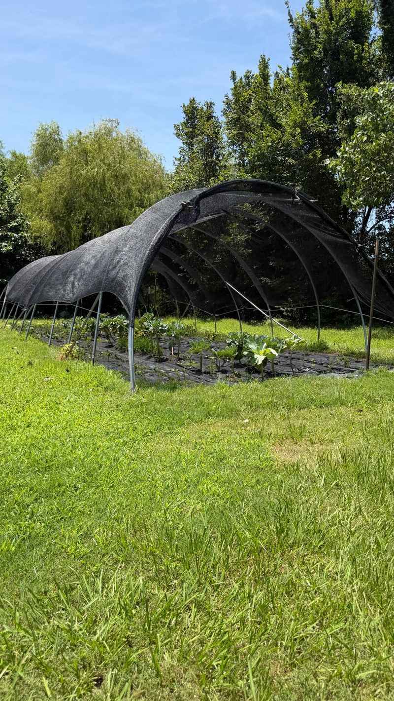 Beat the Lingering September Heat