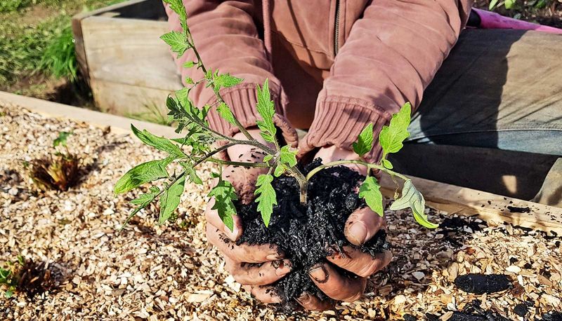 Biochar