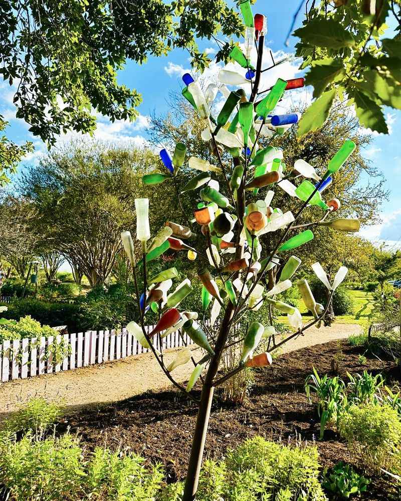 Blue is familiar, but bottle trees have no single fixed look Blue is familiar, but bottle trees have no single fixed look