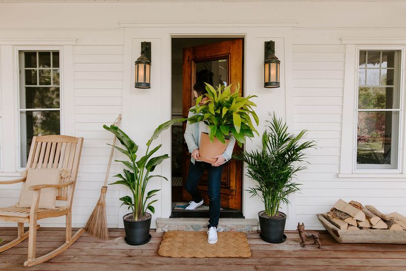 Bringing Potted Plants Indoors Without a Check