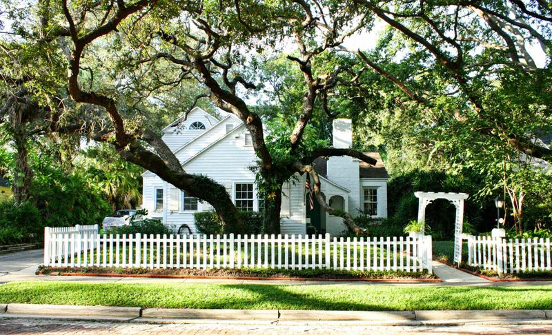 Broad Crowns That Shade More of the House