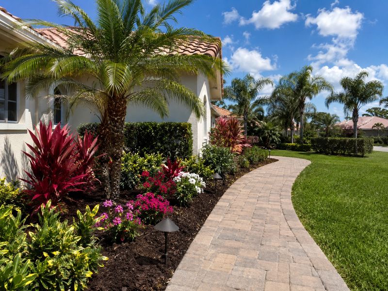 Build a proposal around your yard’s conditions
