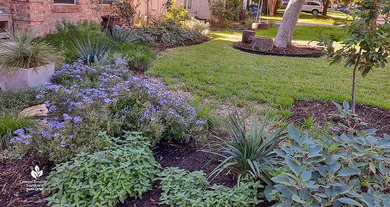 Build a yard with food, water, and shelter