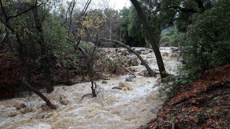 California’s rainfall and bite data describe a longer pattern California’s rainfall and bite data describe a longer pattern