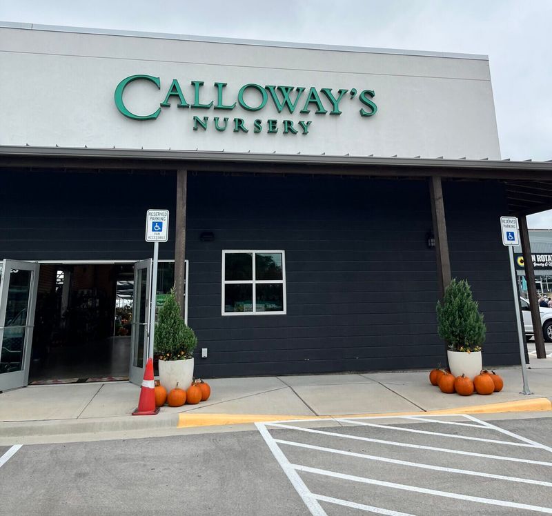 Calloway's Nursery, Dallas-Fort Worth