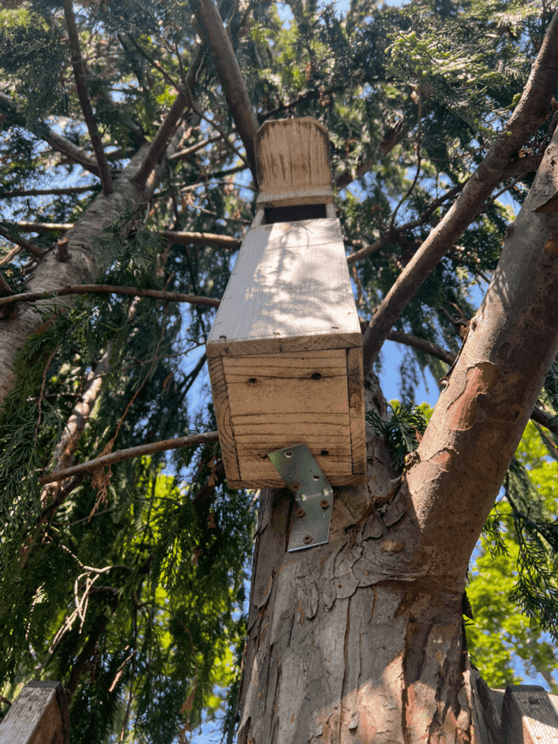 Care for habitat and prevent rodent problems directly Care for habitat and prevent rodent problems directly