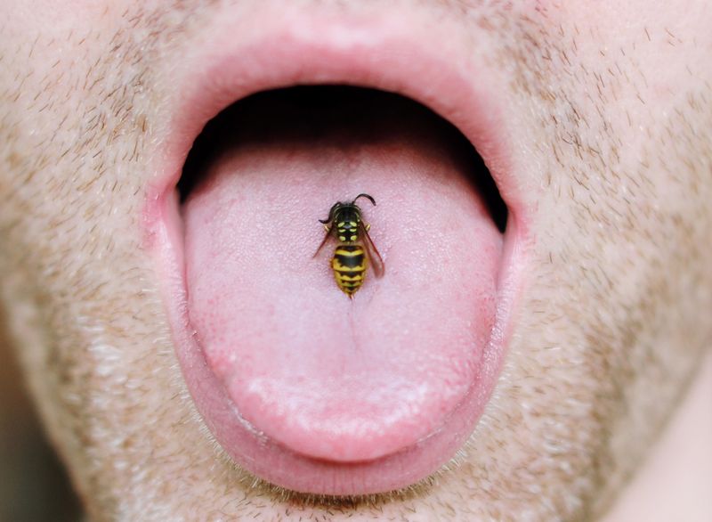 Certain sting locations and multiple stings need medical attention
